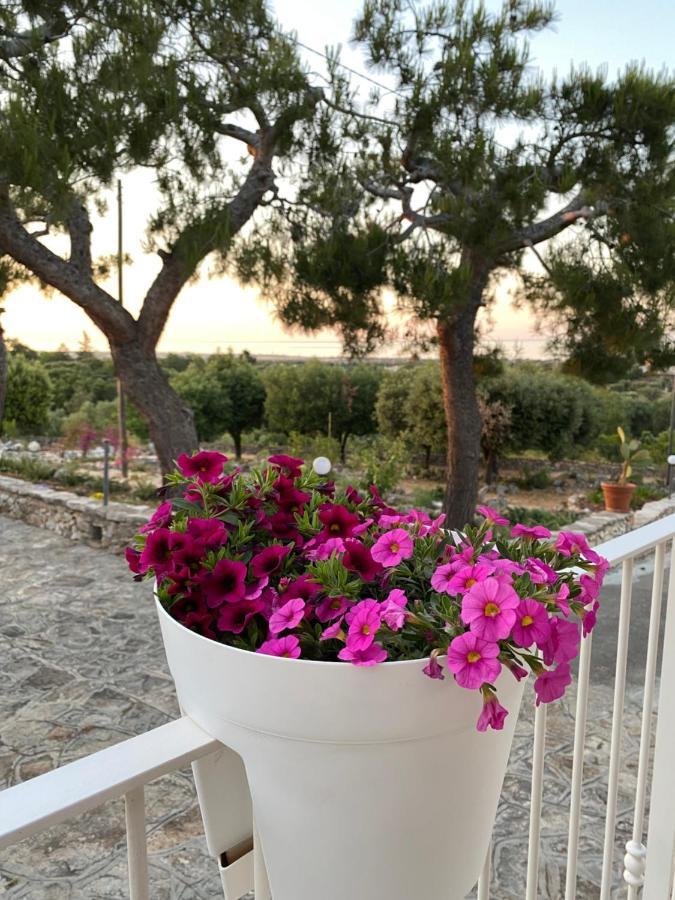 Bed and Breakfast Monte Simeone Поліньяно-а-Маре Екстер'єр фото